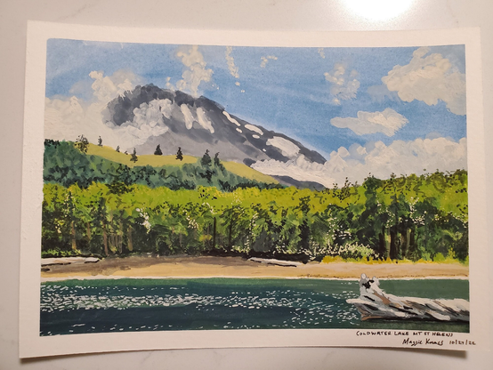 a 5x7 gouache painting of coldwater lake with mt st helens in the background amidst a blue sky with a few puffs of cloud. There is a gnarly greyed large log flowing in the lake that has lots of little sun ripples and a sandy beach and lots of new growth trees.