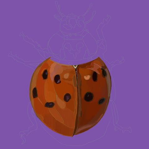 Same lavender background. The outline is muted. I spent my time drawing the orange-red shell which has eight spots on it.