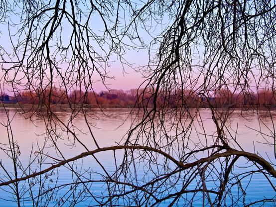 A body of water at sunset. The trees on the opposite bank have a reddish nuance and reflect on the water, while the sky and the lake change from a light to a deep blue. In the foreground are many leafless dark tree branches.