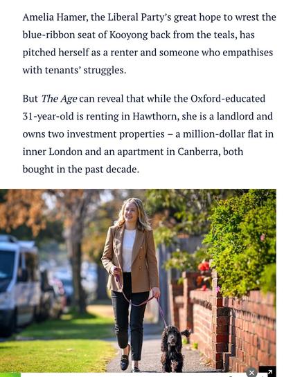 Screenshot from the linked article, including a picture of the lovely Vander walking a dog on a street with trees lining