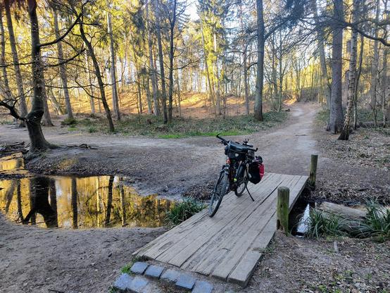 Fahrrad steht auf einer Bretterbrücke über einen kleinen Bach im Wald. Ein Sandweg ist breiter, als die Brücke, weil man besser durch das Wasser über den Bach kommt, als über die Brücke und weil hier auch immer Kinder im Wasser spielen.

Durch die Bäume leuchtet die Morgensonne und spiegelt sich golden im Wasser.