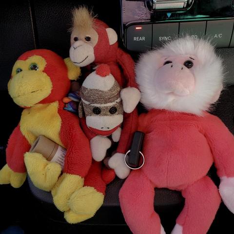 A collection of four stuffed monkey toys sits on the dark interior of a car: a red and yellow monkey holding a cardboard tube, a monkey with a mohawk, an iconic sock monkey with a stocking cap, and a pink monkey with a fluffy white mane holding a car key fob. The car's climate control panel is partially visible in the background.