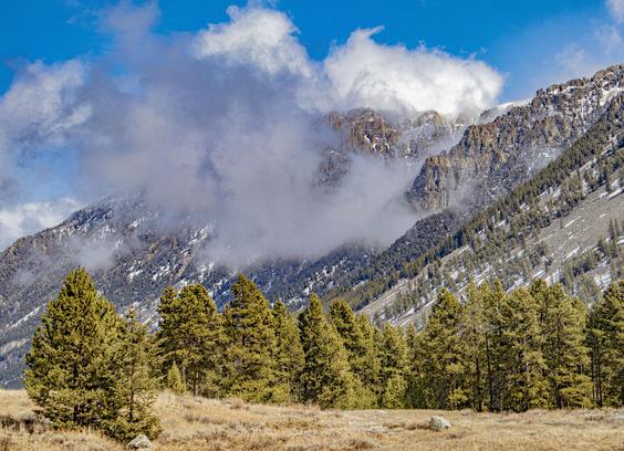 that sun was sure nice at the end, dried out. Beartooth Plateau becoming visible again. the reason this area is bare in the deep canyon bottom is it is so frequently strongly windy. channels SW-NW flow. thick timber in the sheltered areas.