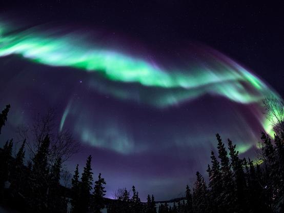 The aurora above Yellowknife, Northwest Territories, Canada, featuring a curtain of the northern lights looking like it is descending upon the viewer from the sky.