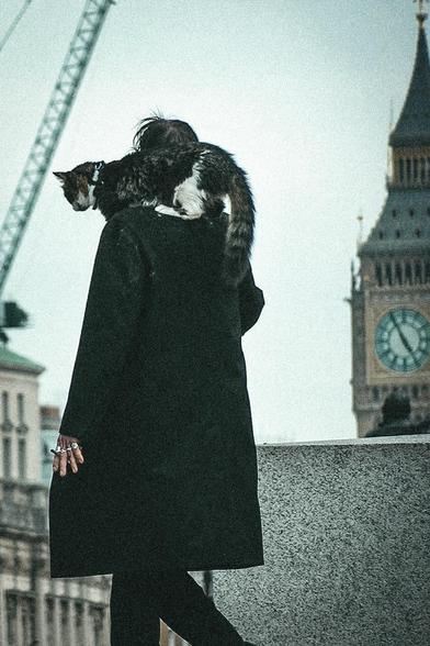 Just a guy walking in the city centre with a cat on his shoulder