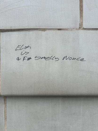 A lesser sophisticated Elon Musk protest