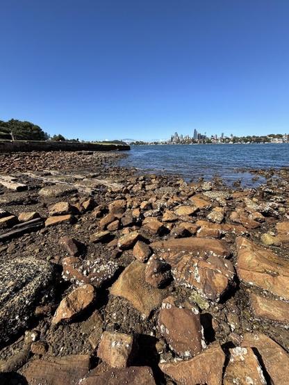 Woolwich - Clarkes Point Reserve