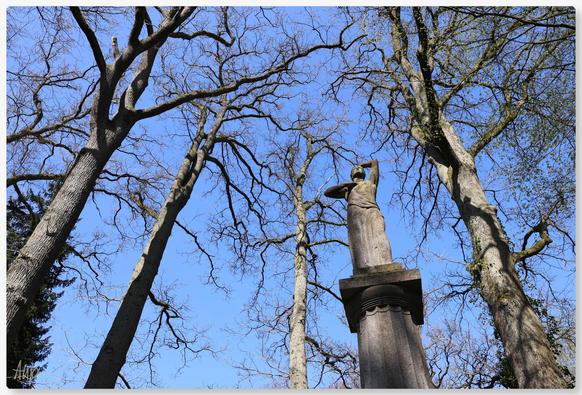 Eine graue Statue aus Stein einer Frau steht auf einer hohen Säule inmitten von noch Bäumen mit kahlen Ästen und Zweigen, die ebenfalls grau erscheinen. Der Himmel ist blau und wolkenlos, das Licht und die Farbe verstärken die Kontraste im Bild. Arme, Zweige und Äste zeigen Richtung Himmel, das verbindet die Statue mit den Bäumen.

A grey stone statue of a woman stands on a tall pillar in the midst of trees with bare branches and twigs that also appear grey. The sky is blue and cloudless, the light and the colour intensify the contrasts in the picture. Arms, branches and twigs point towards the sky, connecting the statue with the trees.