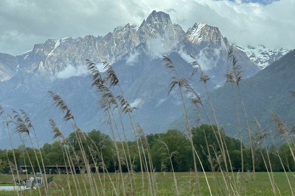 Italian alps behind field.
