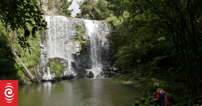 Man missing after falling into Waikato river