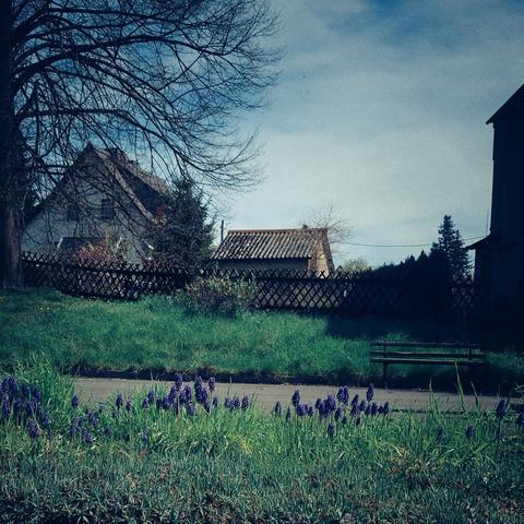 Dorfplatz in Mittagssonne. Blaue Blüten im Vordergrund.