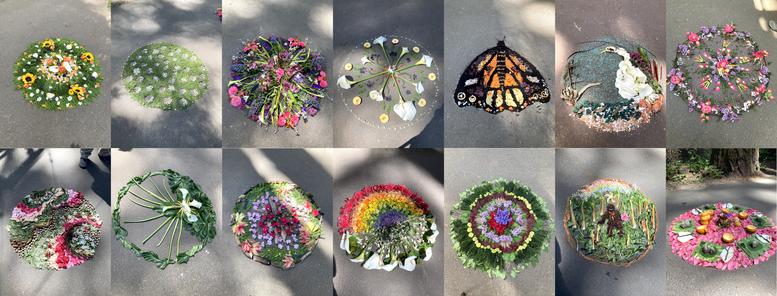Series of photos depicting art made from compostable materials splayed out on an asphalt surface with dappled sunlight.